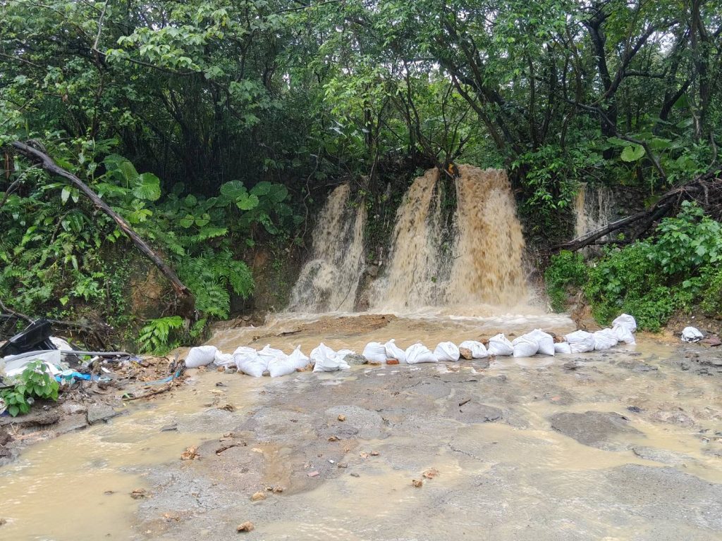 S__462798855_0 - 報新聞 Mega News