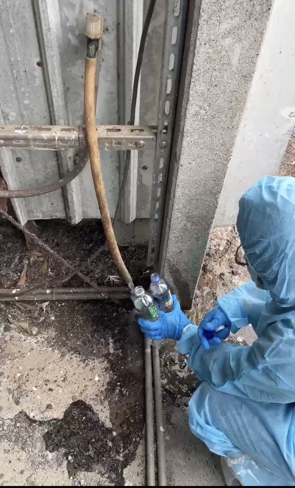 芬普尼毒蛋風波　文雅畜牧場4萬顆雞蛋流出台中 - https://www.watchmedia01.com