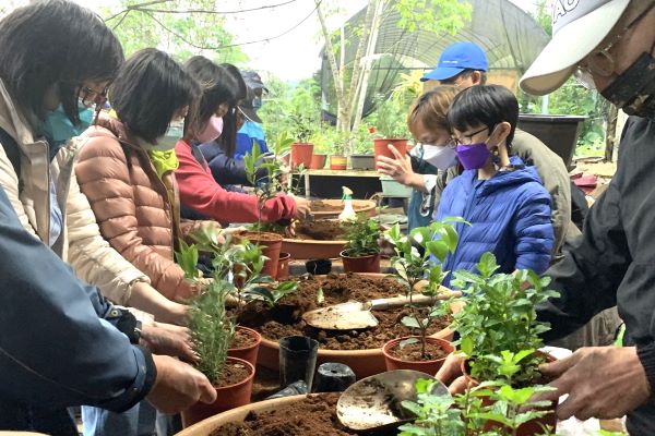 《圖說》雙溪商圈茶花換盆體驗活動，結合在地人文景點，展現雙溪低碳慢活魅力。〈經發局提供〉