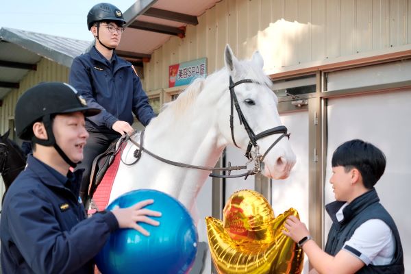 《圖說》白馬卡通對金元寶和療癒球較有興趣。〈動保處提供〉