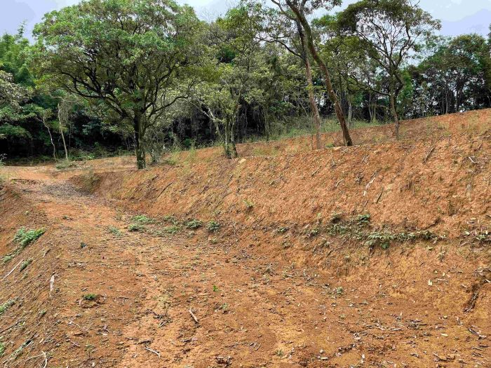 《圖說》使用怪手除草並將土地原坡面整理成階梯狀，此行為已涉及未經申請即擅自開挖整地。〈農業局提供〉